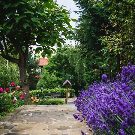 Viva Mare By Santa Marina Hotel