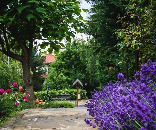 Viva Mare By Santa Marina Hotel